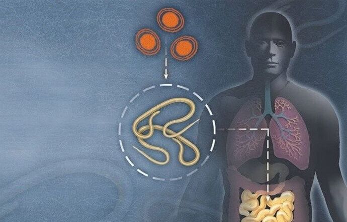 Parasites in the human intestine.