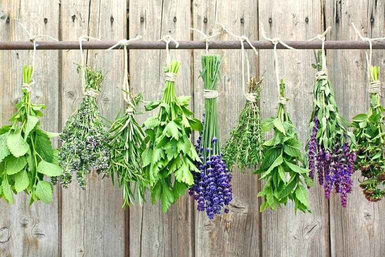 The best herbs for worms and lamblia.