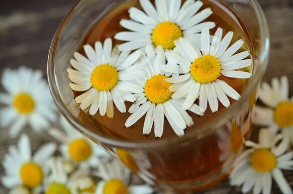 Medicinal infusion based on chamomile against parasites in the body.