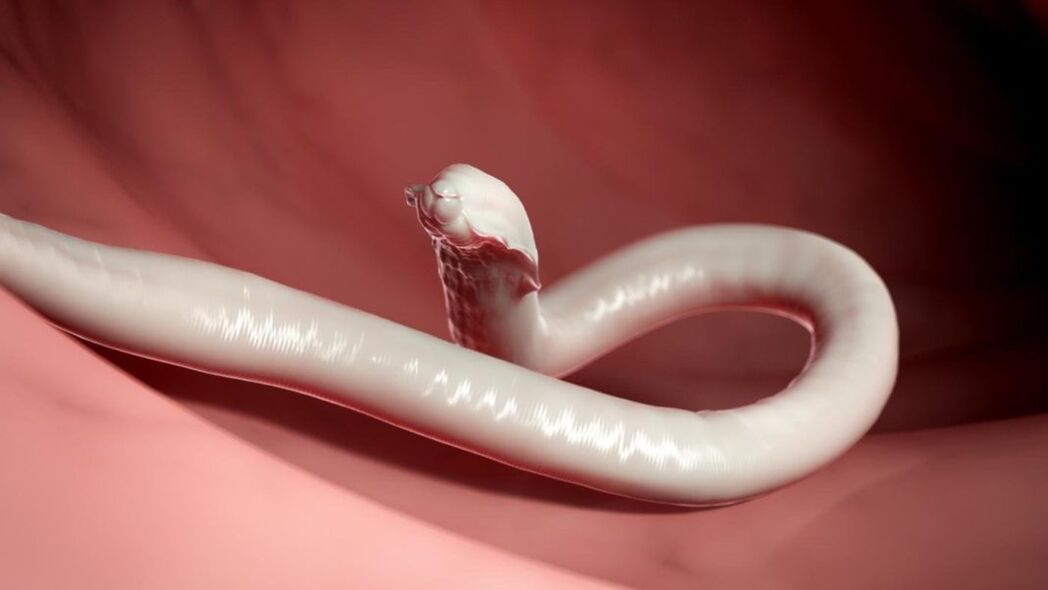 human body worm