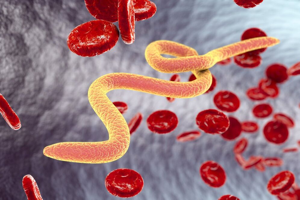 human body worm parasite